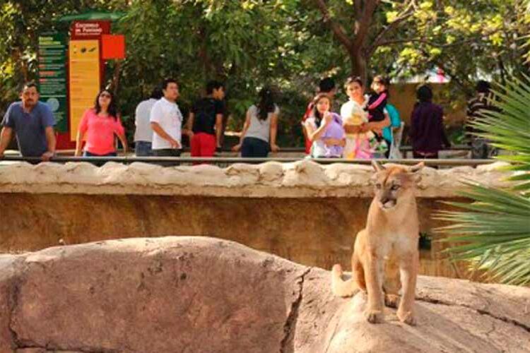 Funcionarios del Zoológico de Tamatán deben ser destituidos: PAN