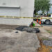 Guardia Estatal localiza a tres personas sin vida en Reynosa