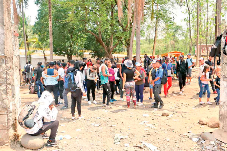 Hallan a terrorista entre migrantes