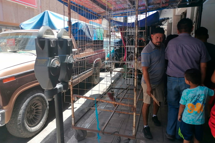 Mejora Municipio vialidades con bacheo en calles de Victoria