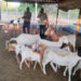 Trabaja desarrollo rural en conjunto con ejidatarios y productores locales
