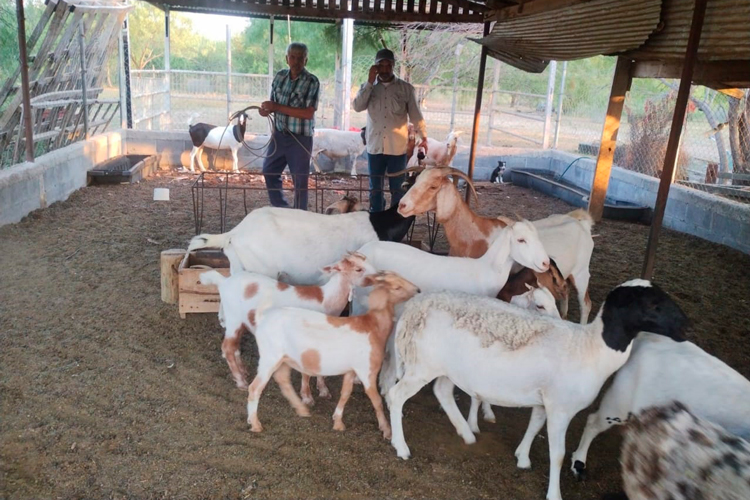 Trabaja desarrollo rural en conjunto con ejidatarios y productores locales