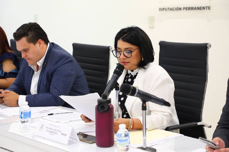 Refuerzan seguridad en CEDES; instalarán arcos detectores