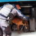 Guardia Estatal redobla vigilancia en centrales de autobuses