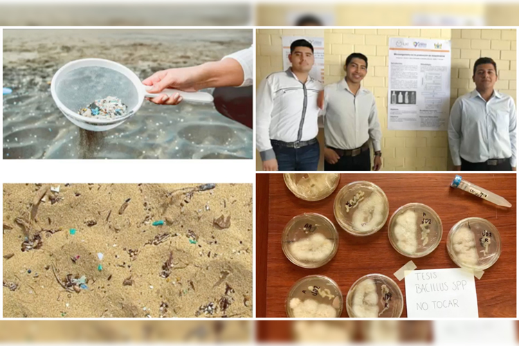 Desarrolla la UAT un proyecto para la elaboración de bioplásticos