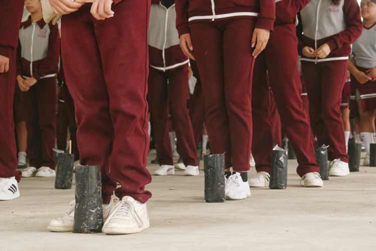 Germinan viveros de árboles nativos en escuelas de Tamaulipas