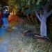 Encuentran cuerpo de mujer en carretera Mante-Valles