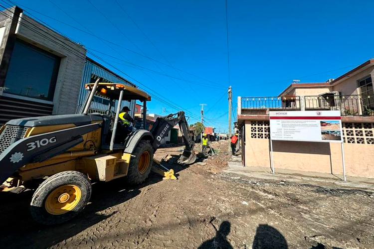 Estudia la UAT el impacto de la urbanización y contaminación en la vegetación en México