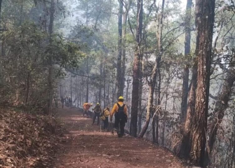 Controlan 60 por ciento incendio forestal en Hidalgo
