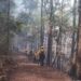 Controlan 60 por ciento incendio forestal en Hidalgo