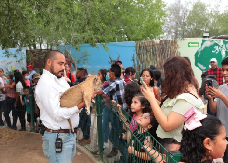 Ofrecen tarde social y Cine UNE en Nuevo Laredo