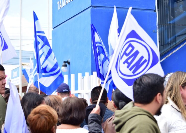 PAN cree que Trieltam busca “que alguien” no salga en la Pluri