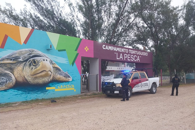 Se refuerza vigilancia y seguridad en Campamento Tortuguero de La Pesca