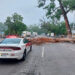 Circulación cerrada en carril de sur a norte de Carretera Victoria-Monterrey por caída de árbol