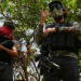 Liberan en Sinaloa a los últimos 8 secuestrados de 66