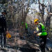 Integra SSPT “Plan Tamaulipas” para sofocar incendio en El Mante