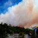 Extinguidos incendios forestales; se consumen 425 hectáreas