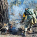Combaten SEDENA y GN incendios forestales en Tula y Jaumave