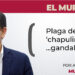 Ciudades perdidas en CDMX, otra cara de la migración