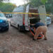 Mata a balazos a su esposa y hiere a la tía; ella está grave y él huyó