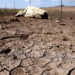 La escasez de agua, un riesgo económico