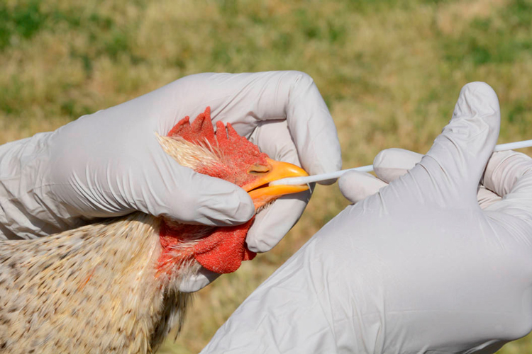 Claudia gana con 36 millones; se recontó 68.16% de los paquetes