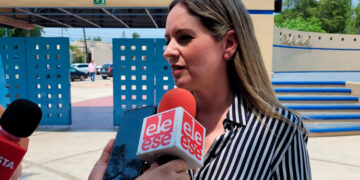 La UAT lanza campaña para rescatar y proteger enjambres de abejas