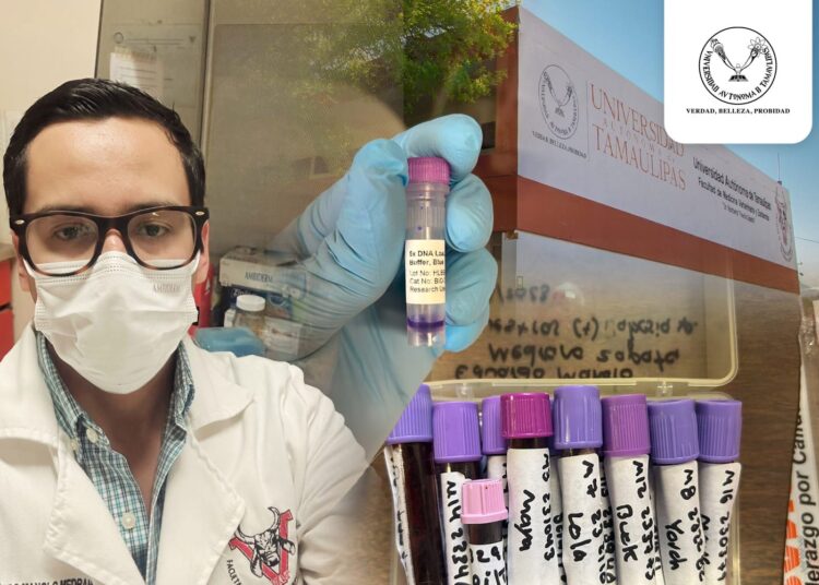 Estudia la UAT al parásito que causa babesiosis en perros y su posible contagio a humanos