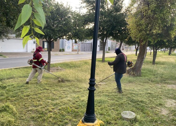 Celebrará Reynosa hoy el nacimiento de una nueva Orquesta