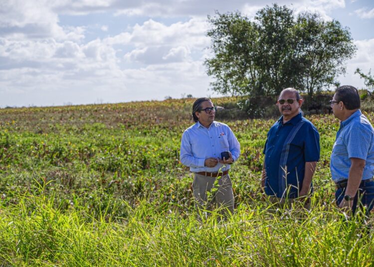 Matamoros con mayor pobreza en Tamaulipas: SEBIEN
