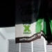 Destruyen porros del IMSS propaganda de Fernando Hernández