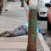 Militares refrendan lealtad a Sheinbaum