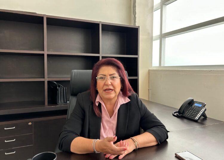 Regularización vehicular reduce impunidad, asegura diputada Huerta