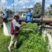 Evalúa Salud programas prioritarios y define acciones para el 2025