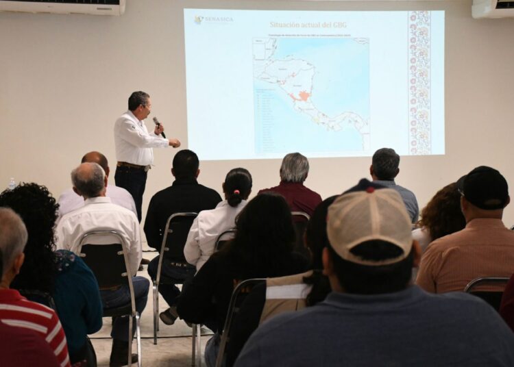 Tamaulipas se mantiene libre del gusano barrenador