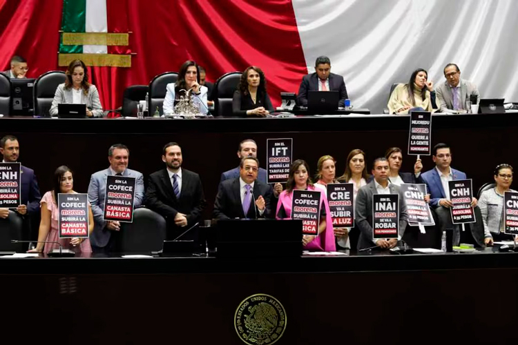 Avalan en lo general extinción de los órganos autónomos