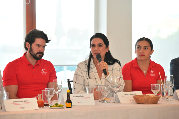 Plantea Mónica Villarreal Apoyos para Despicadoras