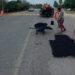 Con trabajos de bacheo y rastreo, Municipio continúa mejorando movilidad urbana