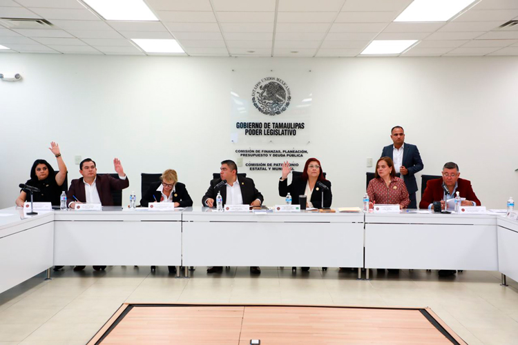 Avanza en Comisiones Autorización de crédito a Gobierno