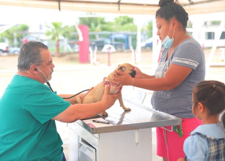 Refuerza  Tamaulipas acciones para garantizar atención en tema migratorio