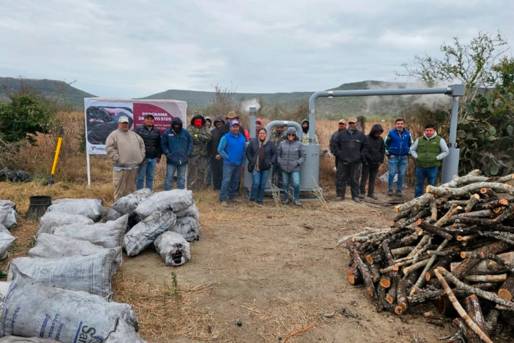 Con producción de carbón vegetal buscan recolectar líquidos piroleñosos