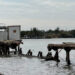 Colapsa muelle en Ciudad Madero a causa del intenso oleaje