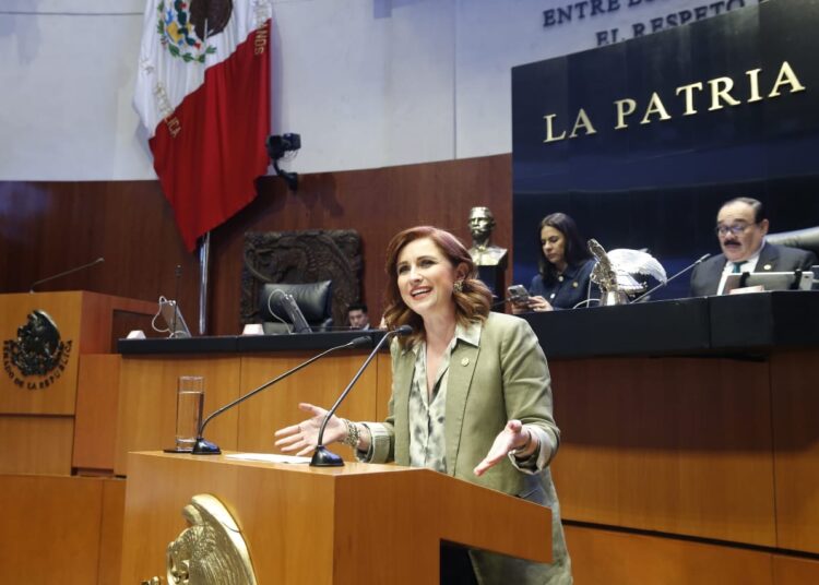 Reforma al Infonavit “mentirosa y fraudulenta”: Imelda Sanmiguel