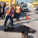 Difunde la UAT convocatoria Beca Futuro Tamaulipas Jóvenes Nivel Superior