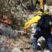 Identifican a dos provocadores de incendios en la región cañera