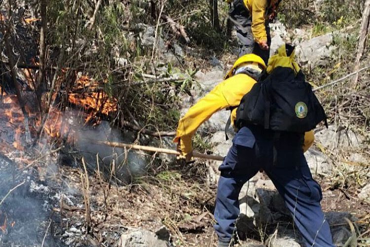 Identifican a dos provocadores de incendios en la región cañera