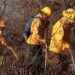 Refuerzan brigadistas de la SEDUMA combate a incendio de pastizales en Tula
