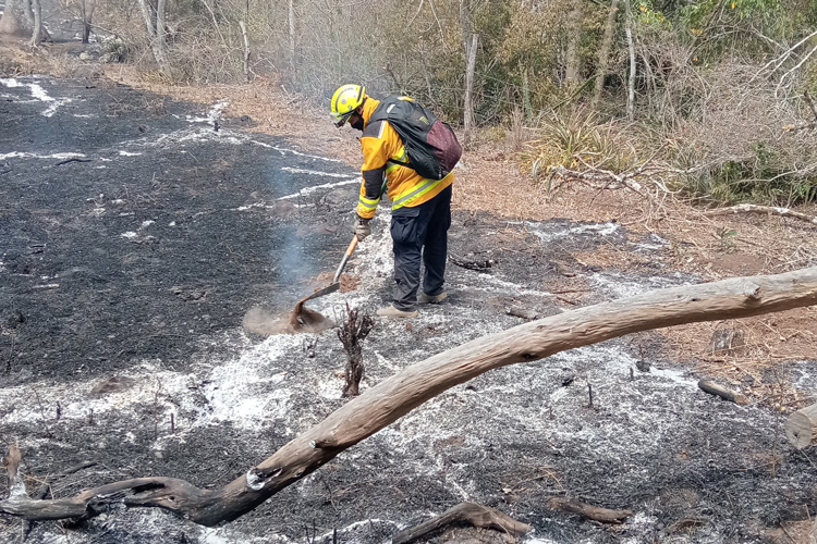Brigadas contra incendios mejoran refuerzos en Tamaulipas