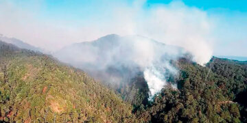 Recuperan del crimen 42 ranchos y 2 minas