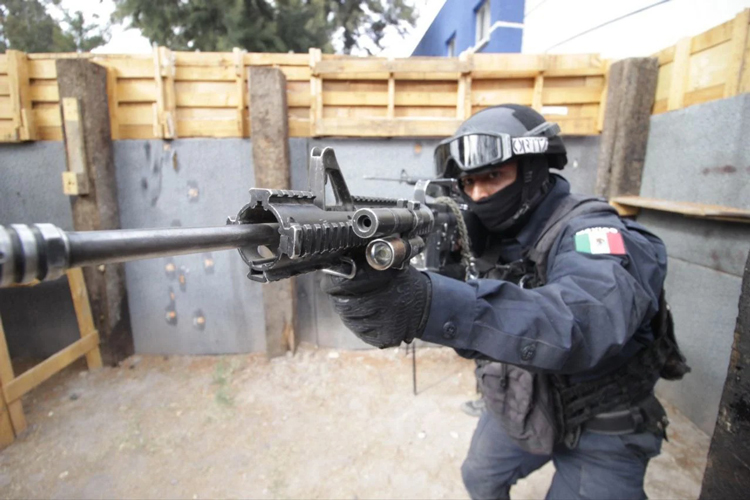 Busca SSP 8 grupos de Fuerzas Especiales